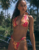 Bild von Farida Bikini-Unterteil in Sketchy Hibiscus Burgundy