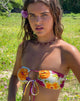 Bild von Racola Bikinioberteil in Tropicana Brights