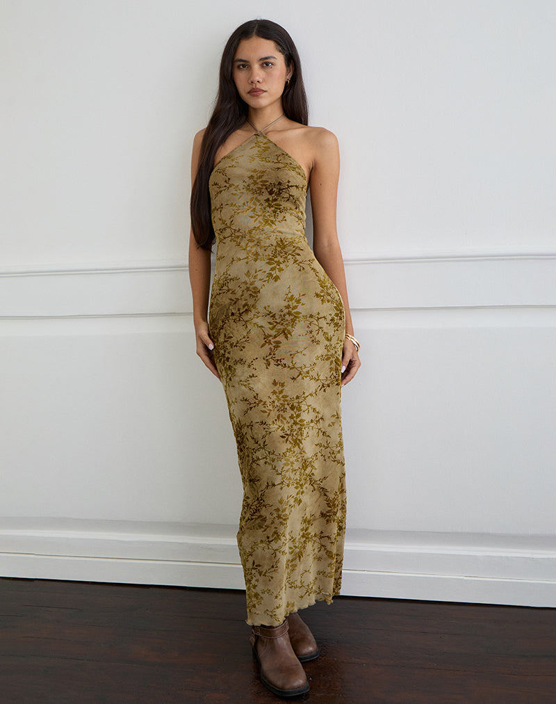 Rabika Maxikleid aus gebranntem Samt Grün