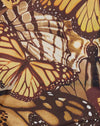Schmetterling Gold