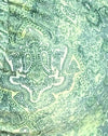 Abstraktes Paisley Grün