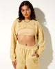 Image of Bacel Sweatshirt mit Kragen in Custard M Embro