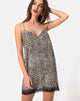 Image of Balace Slip Dress in Rar Leopard mit schwarzer Spitze