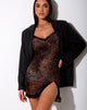 Image of Coti Bodycon Kleid in Gepardenbraun mit Spitze