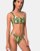 Bild von Farida Bikinioberteil in Slime Lime Snake