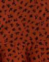 Zierliches Gänseblümchen Bombay Brown