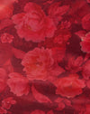 Raues Rose-Burgunderrot
