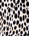 Gepard