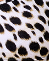 Gepard