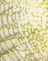 Kroko Grün