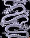 Dragon Rope Black Platzierung