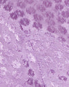 Satin Ditsy Rose Lavendel