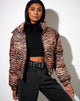 Image of Rohos Pufferjacke in Zebra Schwarz und Braun