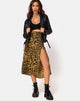 Bild von Saika Midirock in Leopard