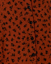 Zierliches Gänseblümchen Bombay Brown