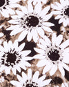 DyedDaisy