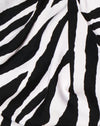 Riesiges Zebra