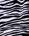 Klassisches Zebra