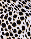 Gepard