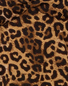 Nacht Leopard Braun
