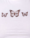 Elfenbeinfarbener dreifacher Schmetterling Embro