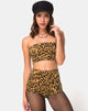 Bild von Hilly High Waist Hot Pant in Leopard