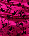 Schmetterlingsblüte Rosa