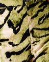 Tiger Full Khaki Platzierung