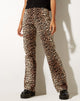 Image of Zoven Schlaghose in True Leopard
