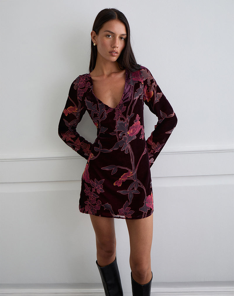 Bilder von Alitra Minikleid in Floral Devore Burgundy