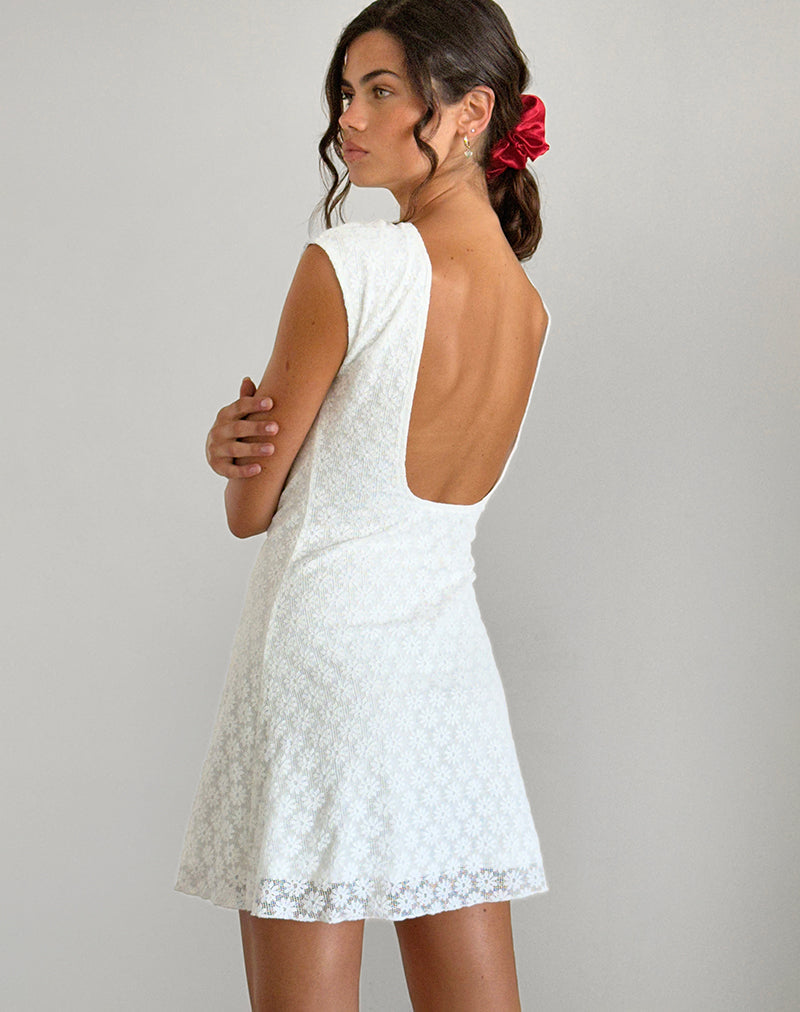 Ambu Minikleid aus floraler Spitze Elfenbein