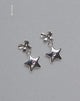 Bild von Bellatrix Ohrringe Pink Star