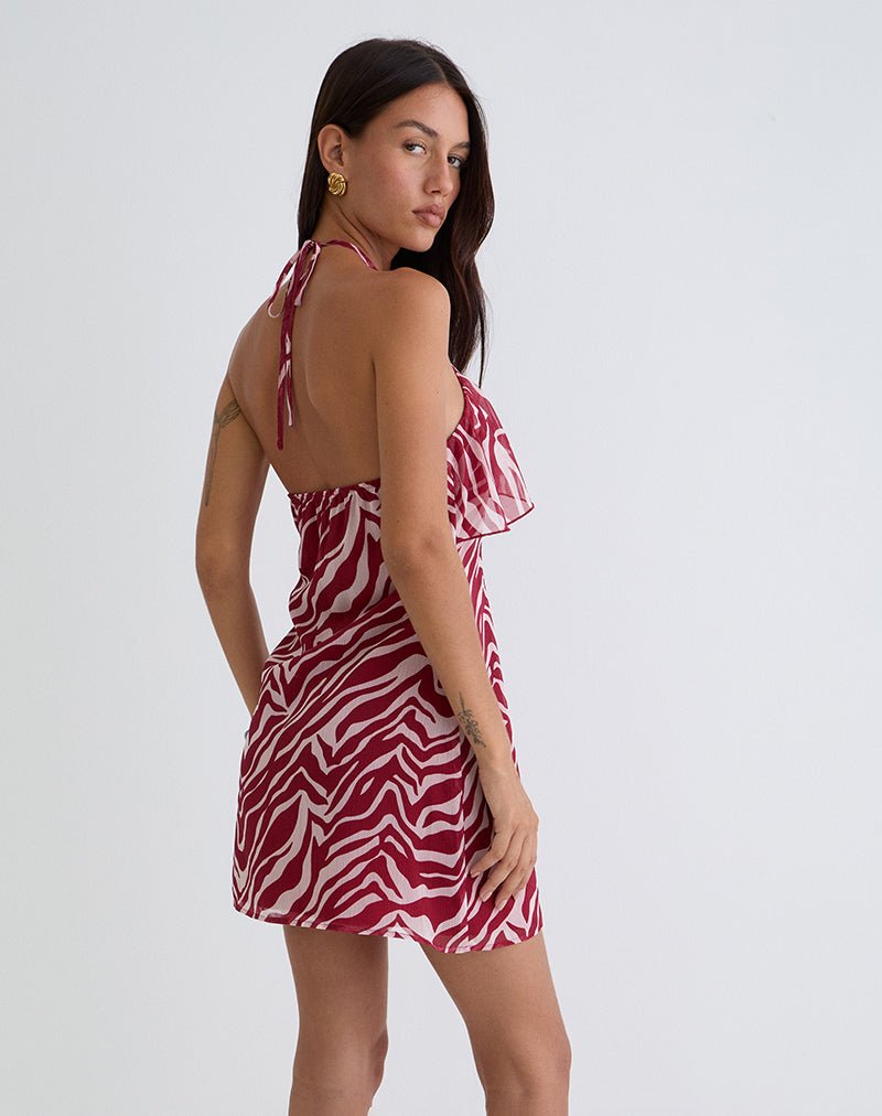 Bild von Beyza Halter Mini Dress in Zebra Print Rot