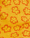 Hibiskus Zebra Orange