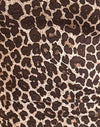 Rar Leopard Sandstorm mit roter Verzierung