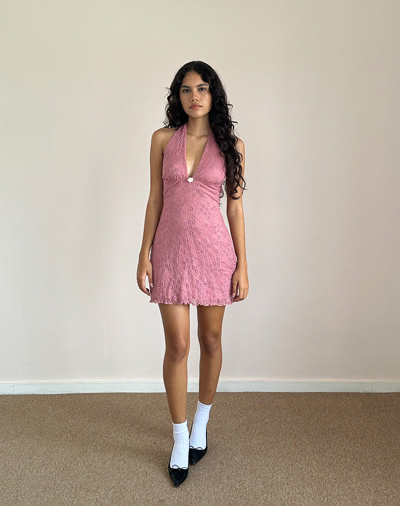 Image of Codami Mini-Kleid mit Neckholder aus Spitze Dusty Rose