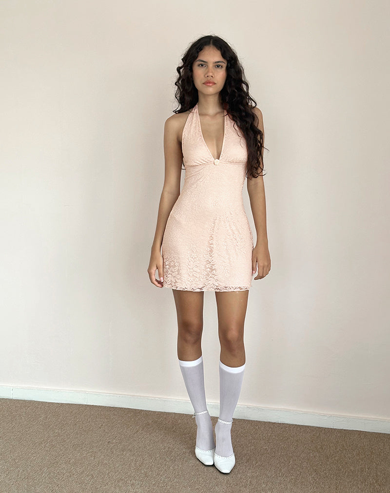 Bild von Codami Neckholder-Minikleid aus Spitze Lotus Rosa