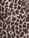 Rar Leopard Sandsturm