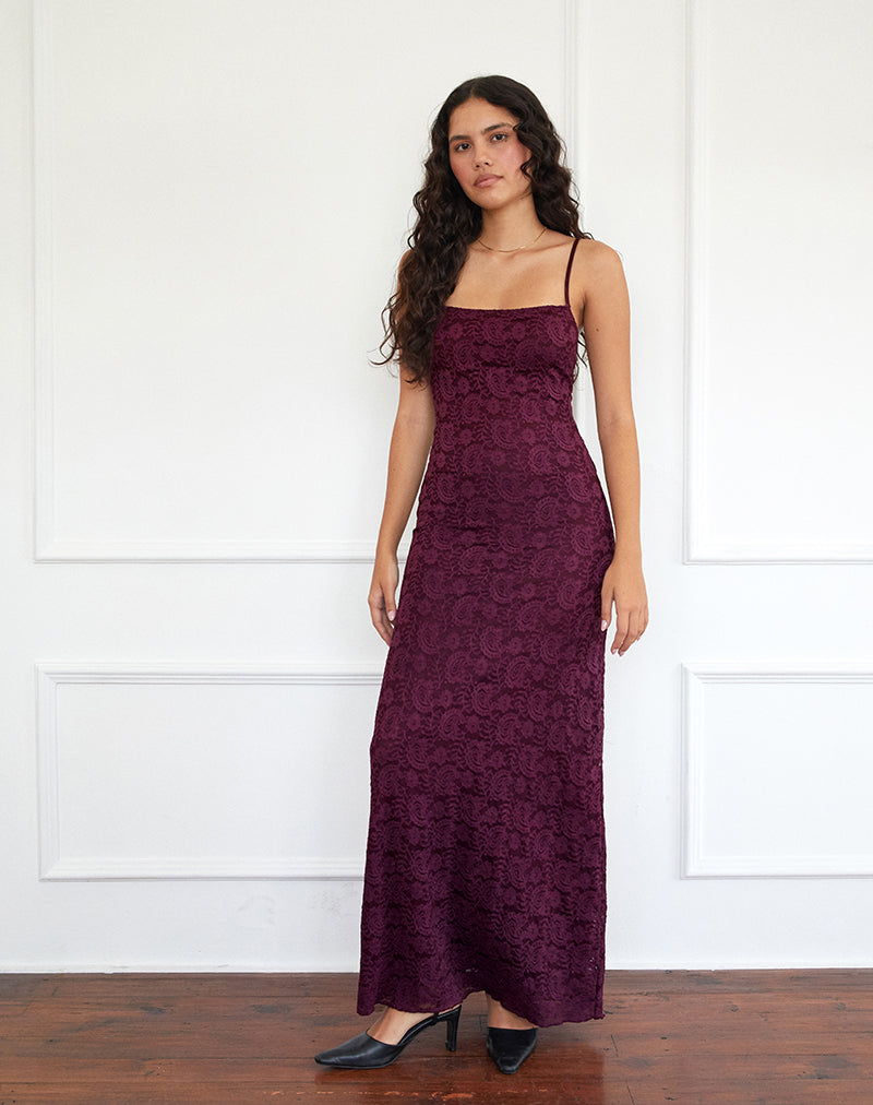 Image of Darsih Cami Maxikleid aus Paisley-Spitze Burgund