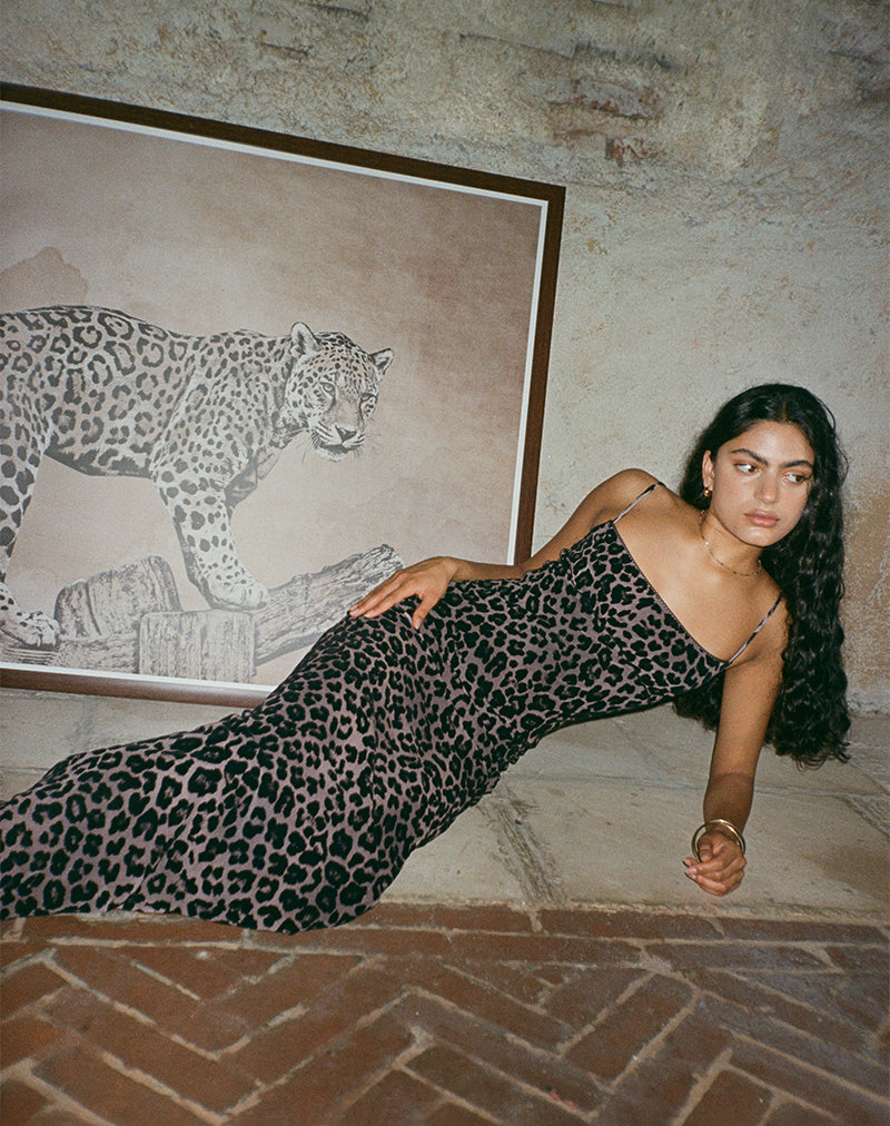 Bild von Darsih Maxikleid in beflocktem Rar Leopard