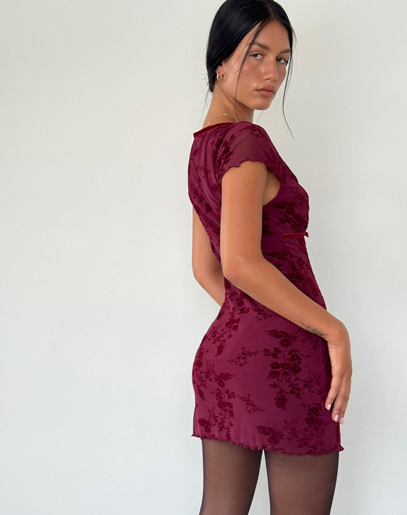 Image of Evilia Kleid in Botanical Flower Maroon