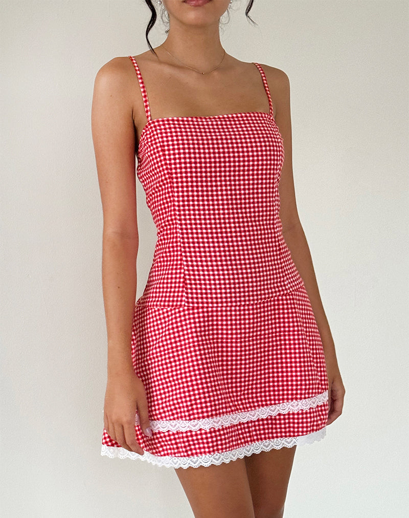 Bild von Flossie Minikleid in Rot Gingham