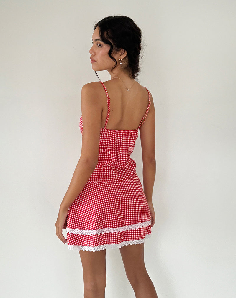 Bild von Flossie Minikleid in Rot Gingham