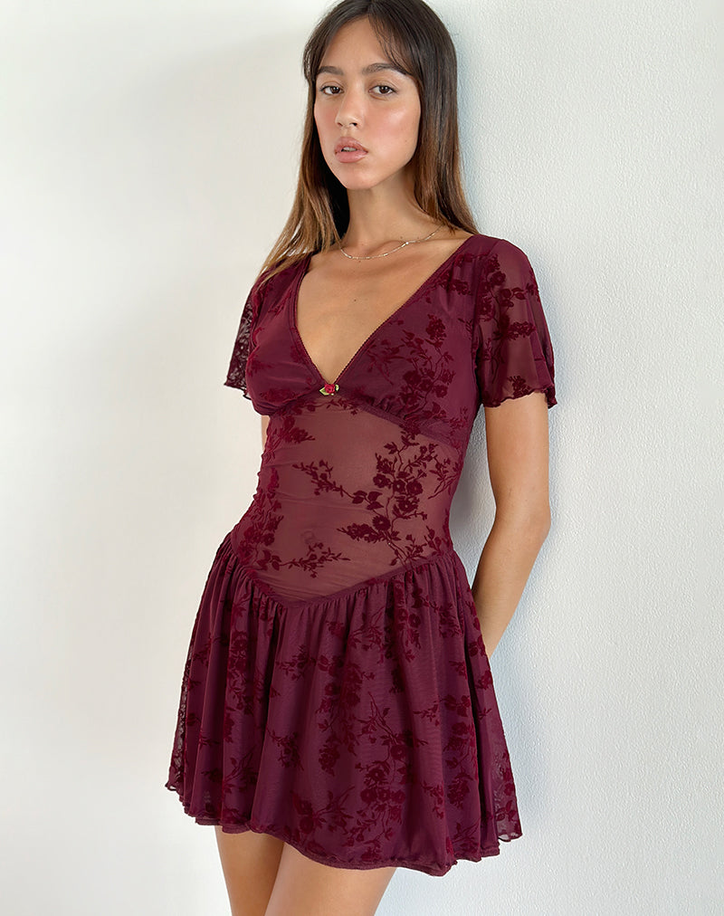 Geni Minikleid in Botanical Flower Maroon