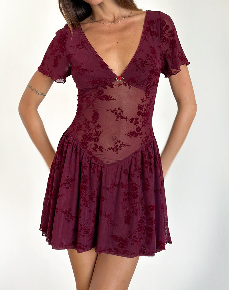 Geni Minikleid in Botanical Flower Maroon