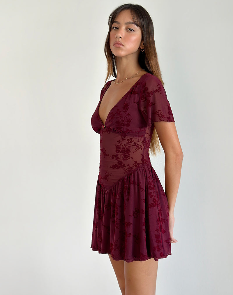 Image of Geni Minikleid in Botanical Flower Maroon