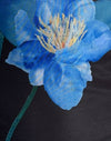 Schwarz mit blauer Aquarellblume