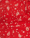 Paisley Fun Rot