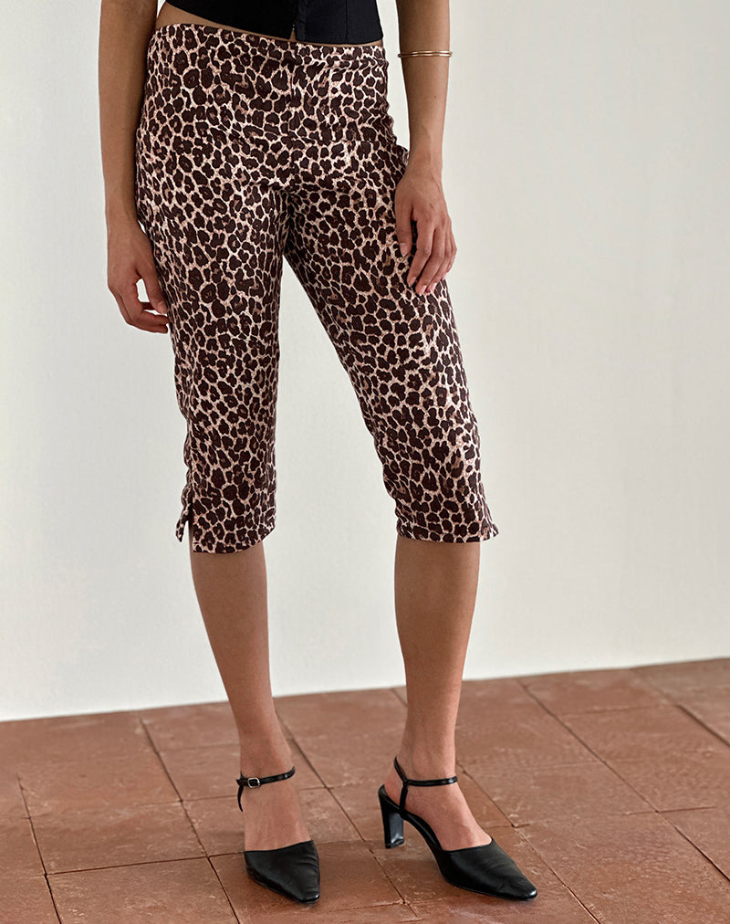 Bild von Japri Pushers in Rar Leopard Sandstorm