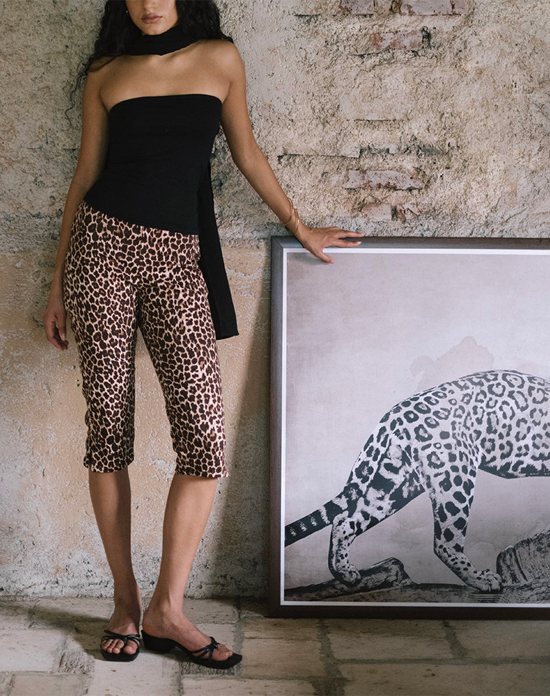 Bild von Japri Pushers in Rar Leopard Sandstorm